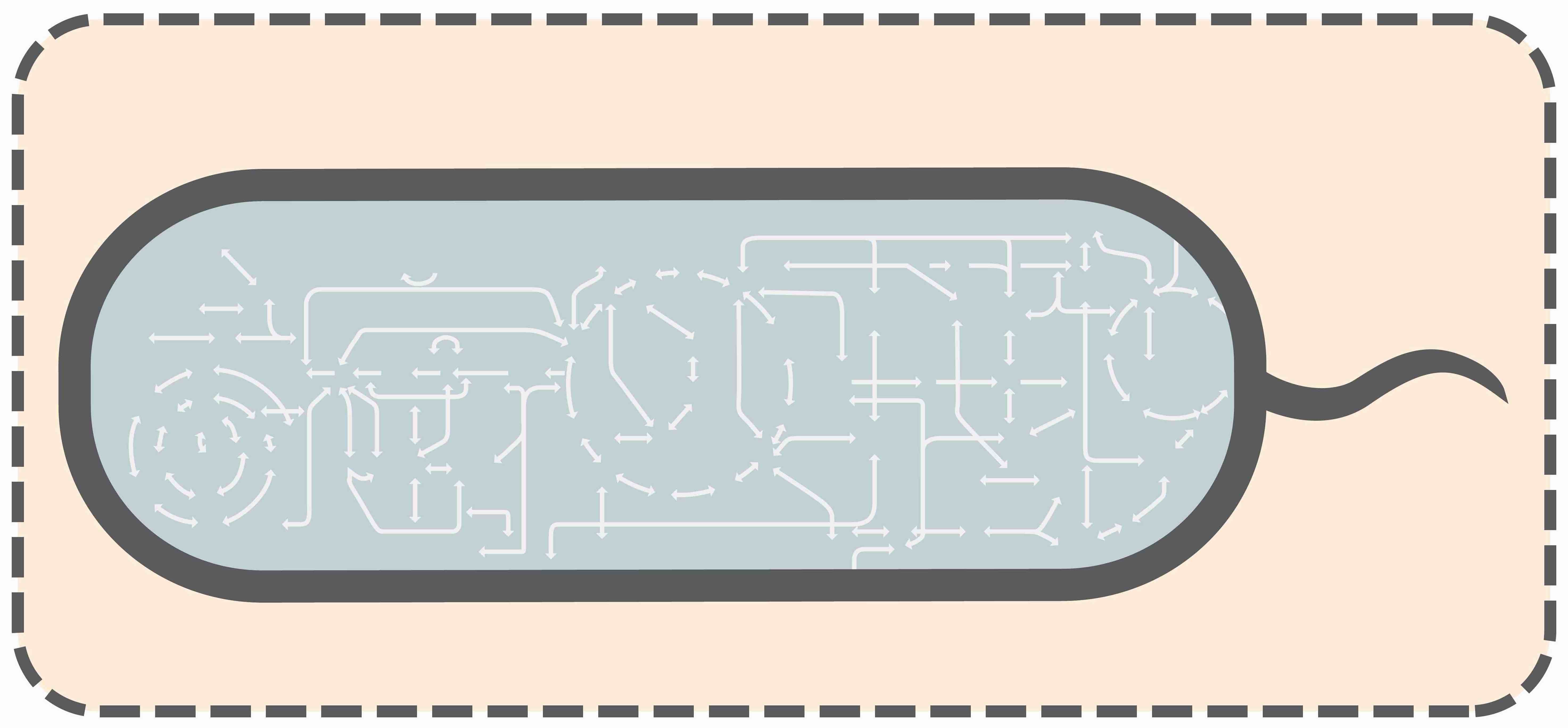 iGEM D&I
