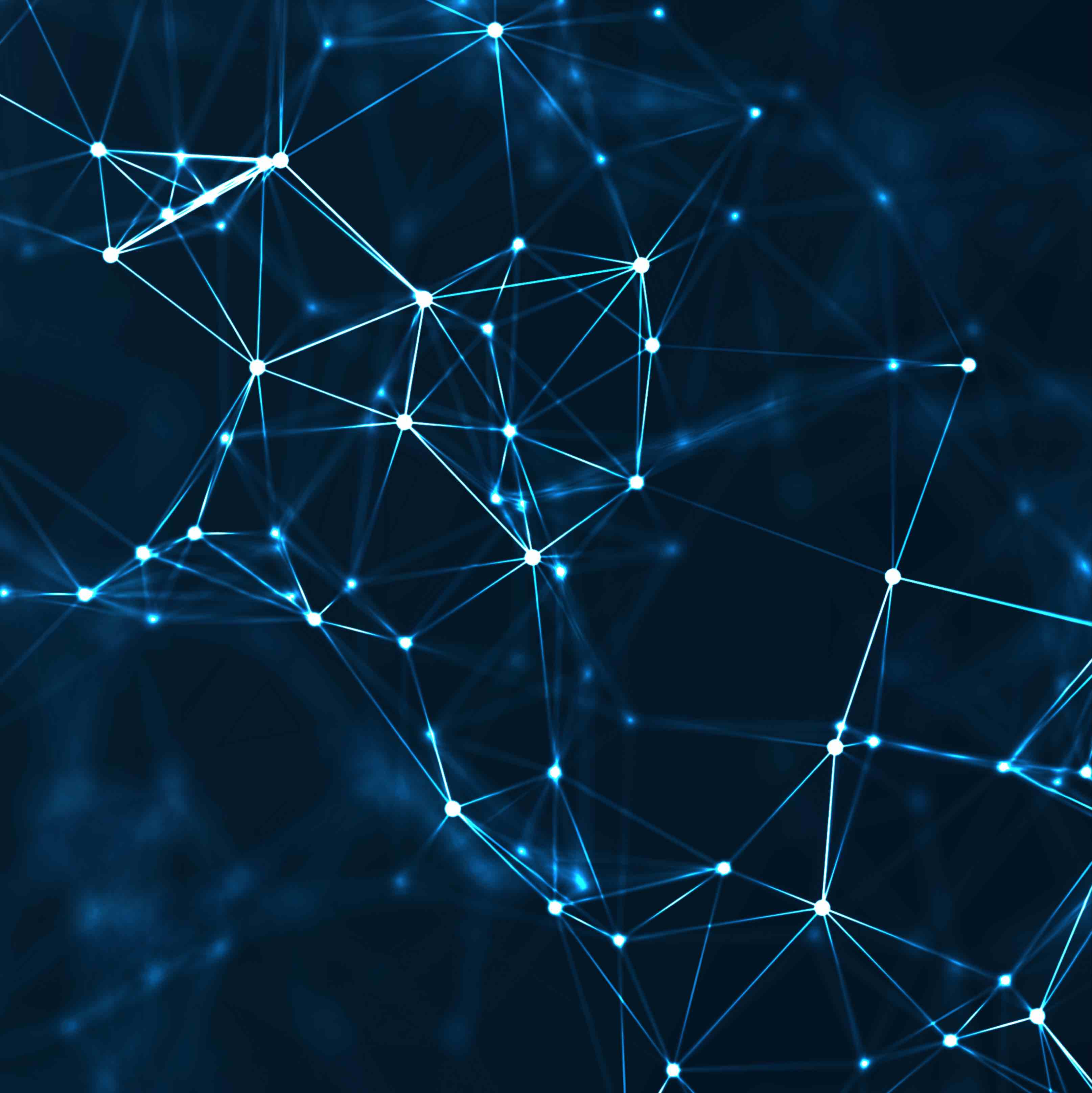 Network